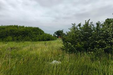 Фото №2: Земельный участок 8 сот. - садовое некоммерческое товарищество Авиатор, мкр. Прикубанский внутригородской округ, ул. Грушевая, 273