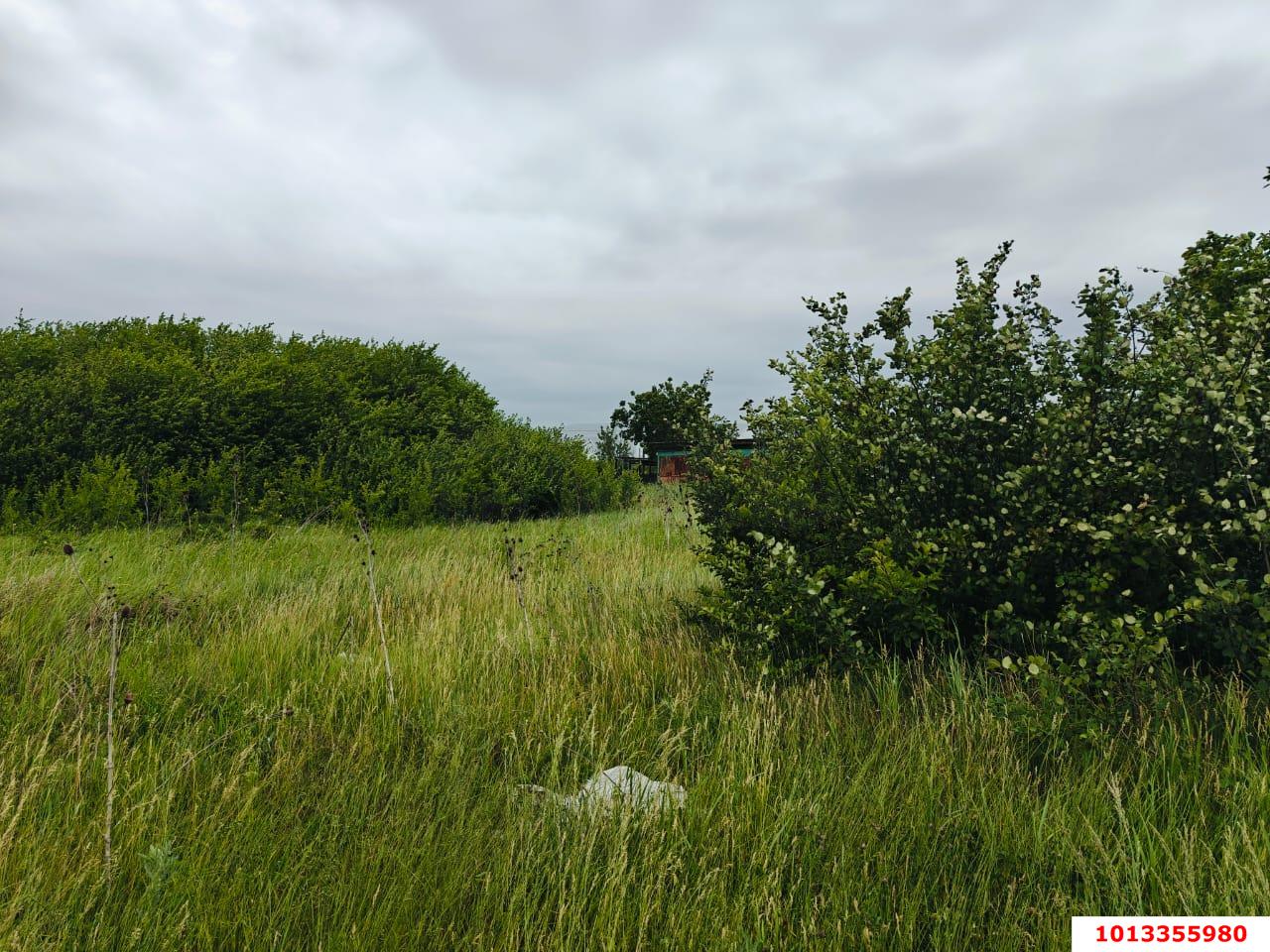 Фото №2: Земельный участок 8 сот. - садовое некоммерческое товарищество Авиатор, мкр. Прикубанский внутригородской округ, ул. Грушевая, 273