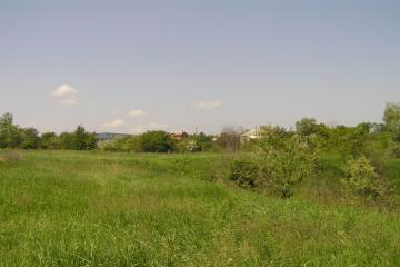 Фото №1: Земельный участок 80 сот. - Смоленская, ул. Бездорожная, 10