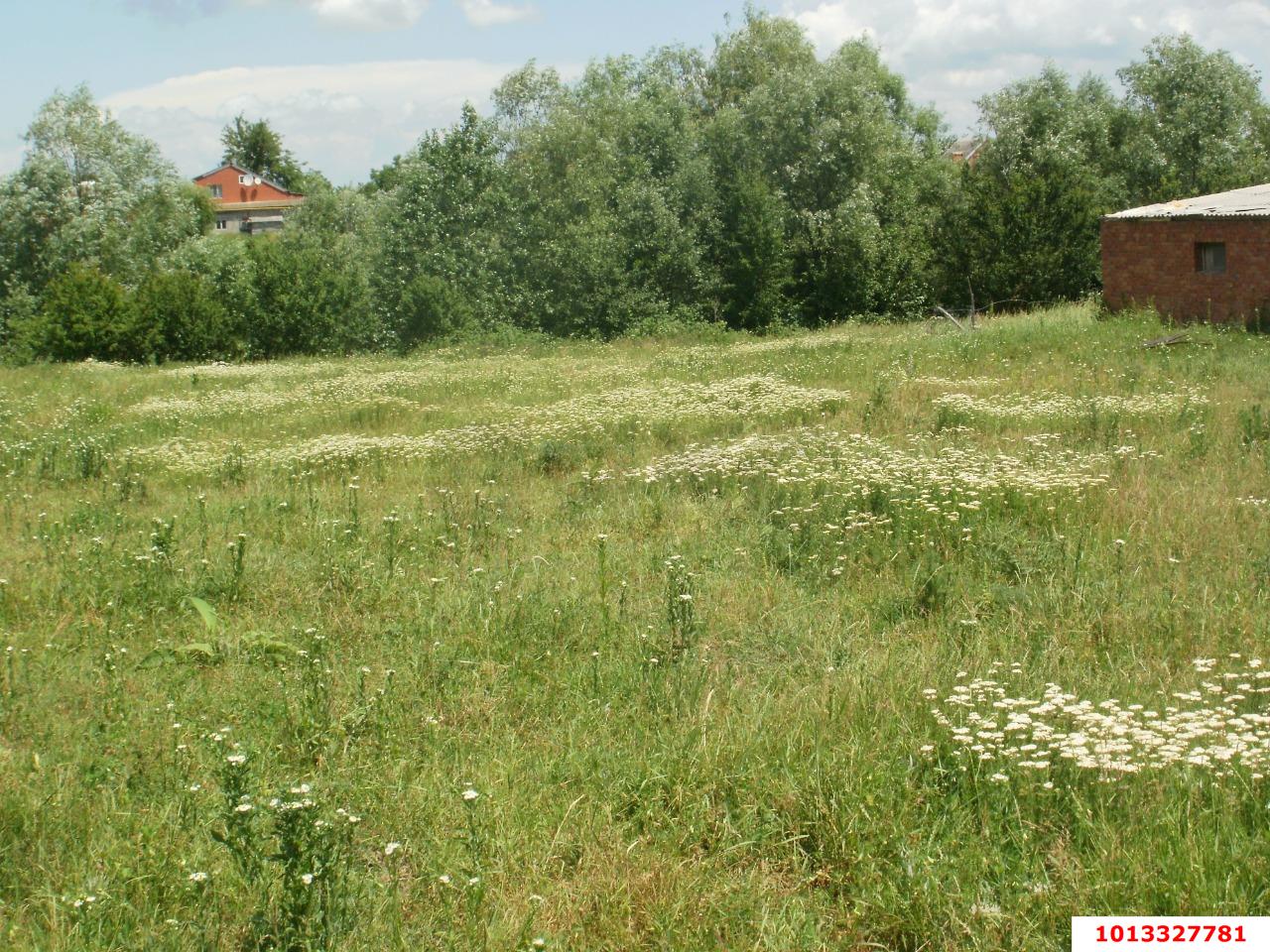 Фото №5: Земельный участок под ИЖС 80 сот. - Смоленская, ул. Бездорожная, 10