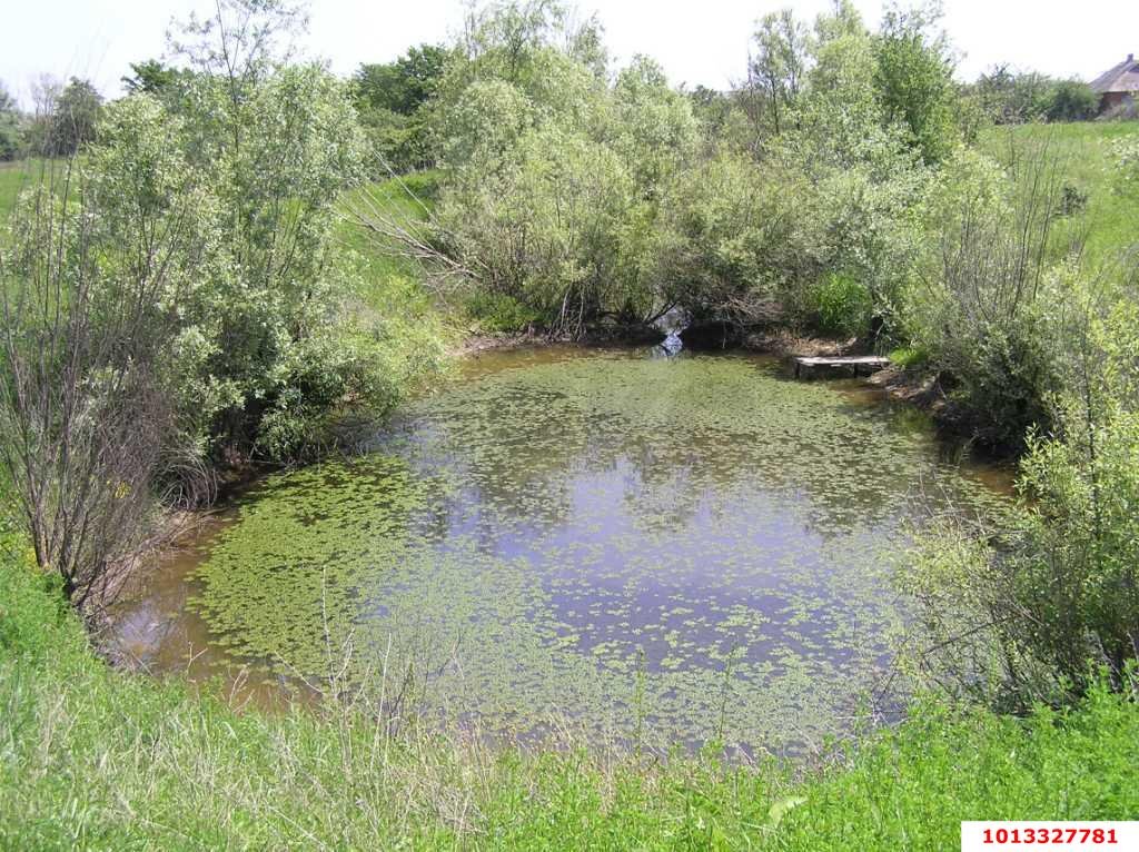 Фото №2: Земельный участок 80 сот. - Смоленская, ул. Бездорожная, 10