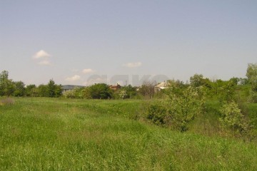 Фото №1: Земельный участок под ИЖС 80 сот. - Смоленская, ул. Бездорожная, 10