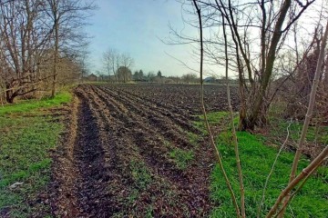 Фото №2: Коммерческая земля 500 сот. - Андреевская, ул. Центральная, 28