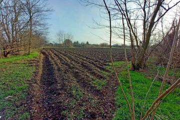 Фото №2: Коммерция 500 м² - Андреевская, ул. Центральная, 28