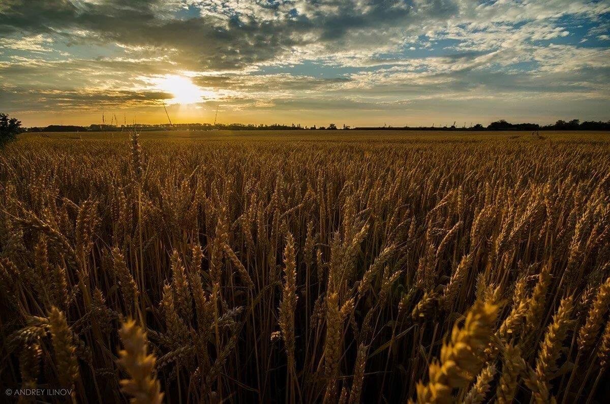 Фото №1: Коммерция 500 м² - Андреевская, ул. Центральная, 28