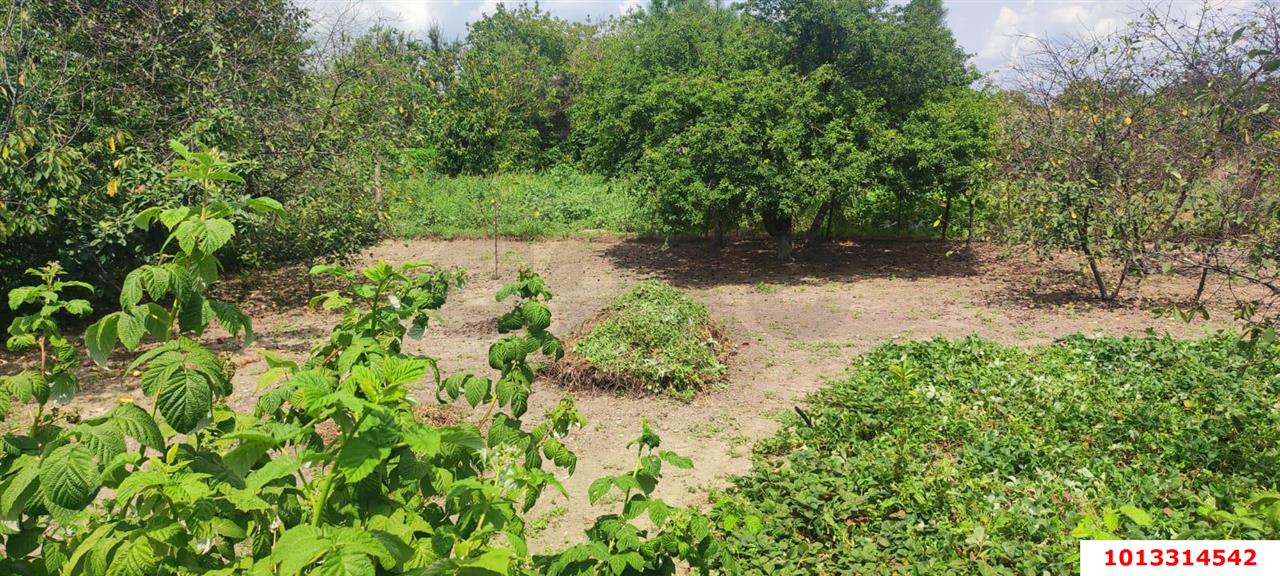 Фото №14: Дом 127 м² + 17.04 сот. - Чебургольская, ул. Комсомольская, 7