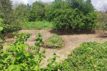 Фото №5: Дом 127 м² - Чебургольская, ул. Комсомольская, 7