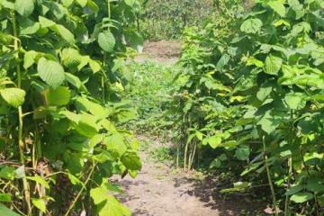 Фото №4: Дом 127 м² - Чебургольская, ул. Комсомольская, 7