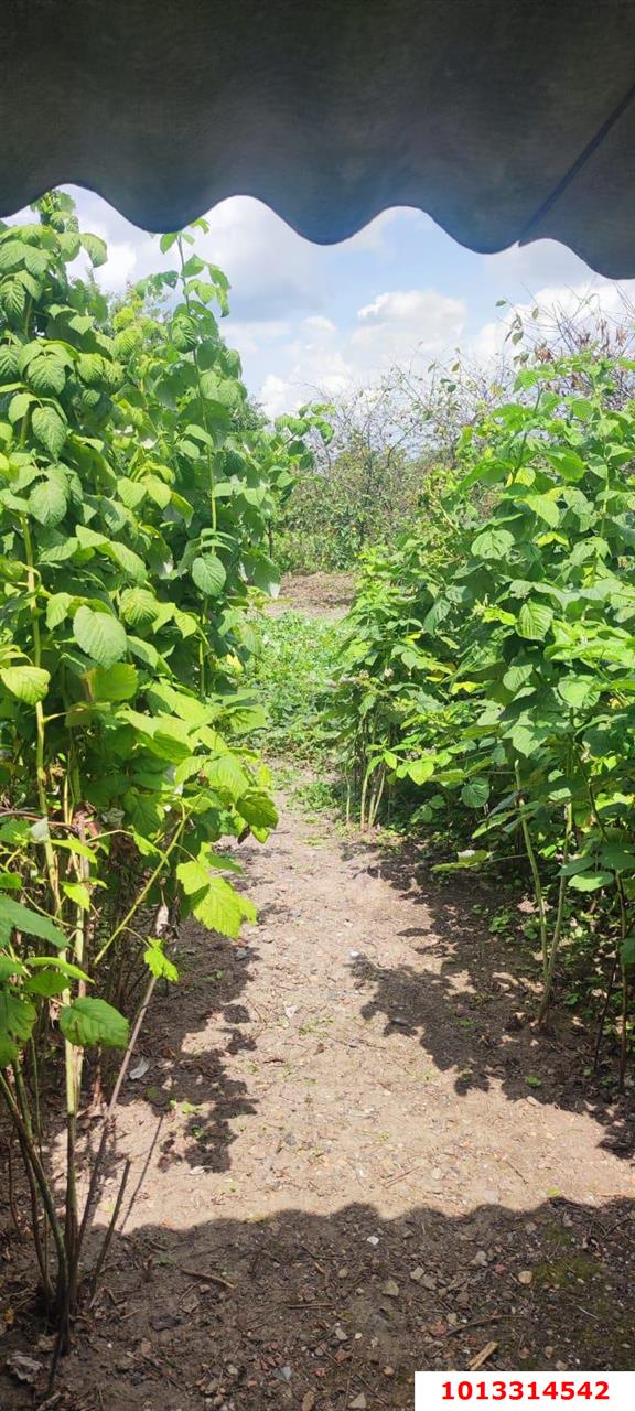 Фото №4: Дом 127 м² + 17.04 сот. - Чебургольская, ул. Комсомольская, 7