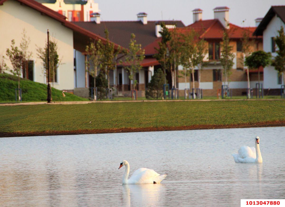 Фото №63: Дом 154 м² + 3.81 сот. - Краснодар, Прикубанский внутригородской округ, мкр. Немецкая Деревня, ул. Вагнера, 6/2