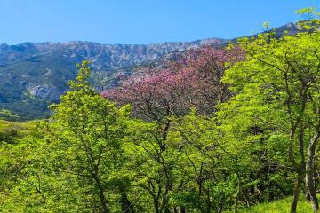 Фото №2: Земельный участок 10 сот. - Горячий Ключ, мкр. Городская Больница, ул. Целинная, 23
