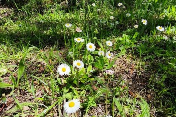 Фото №3: Земельный участок под ИЖС 10 сот. - Горячий Ключ, мкр. Городская Больница, ул. Целинная, 23