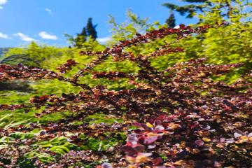 Фото №4: Земельный участок 10 сот. - Горячий Ключ, мкр. Городская Больница, ул. Целинная, 23