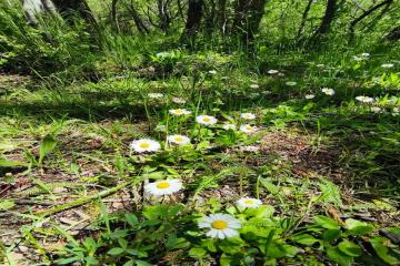 Фото №3: Земельный участок 10 сот. - Горячий Ключ, мкр. Городская Больница, ул. Целинная, 23