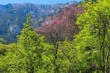 Фото №2: Земельный участок под ИЖС 10 сот. - Горячий Ключ, мкр. Городская Больница, ул. Целинная, 23