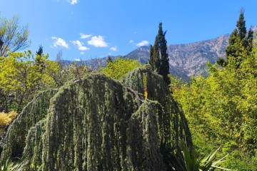 Фото №1: Земельный участок под ИЖС 10 сот. - Горячий Ключ, мкр. Городская Больница, ул. Целинная, 23