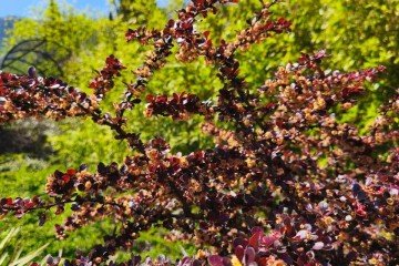 Фото №4: Земельный участок под ИЖС 10 сот. - Горячий Ключ, мкр. Городская Больница, ул. Целинная, 23