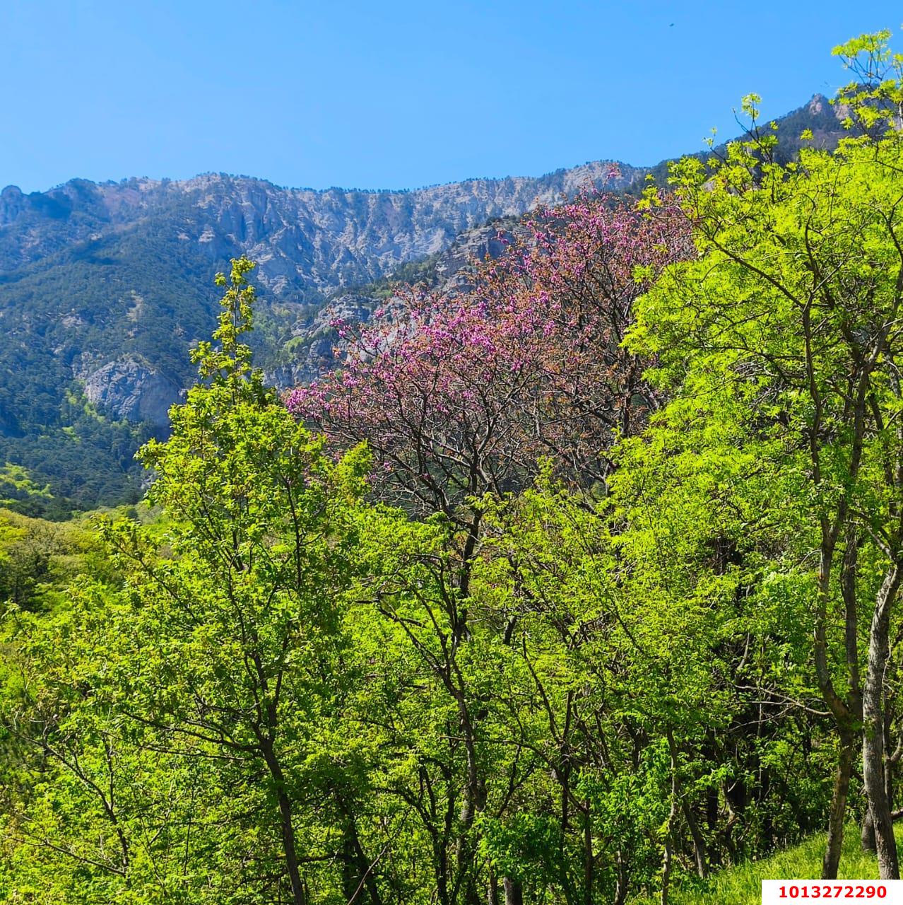 Фото №2: Земельный участок под ИЖС 10 сот. - Горячий Ключ, Городская Больница, ул. Целинная, 23