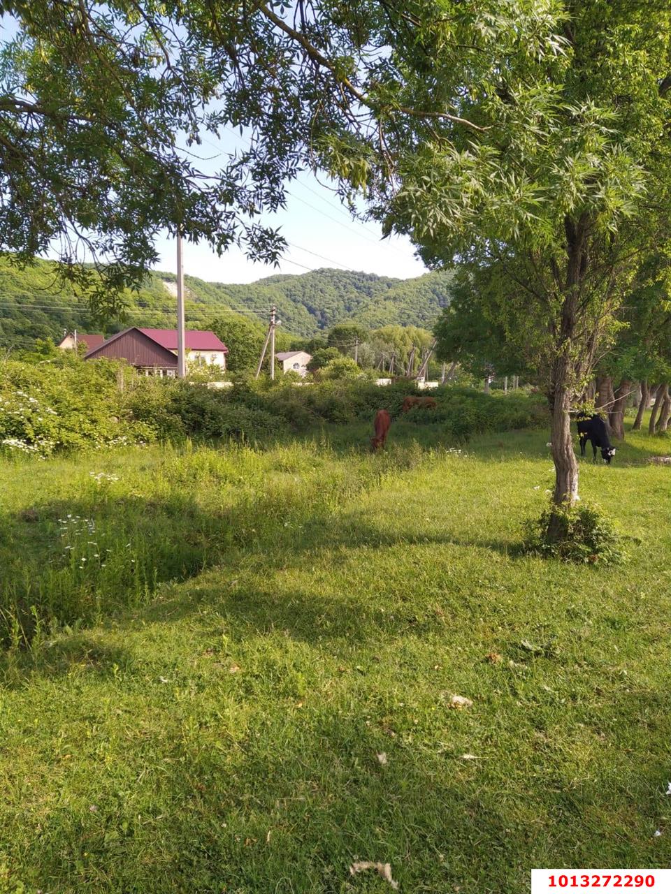 Фото №7: Земельный участок под ИЖС 10 сот. - Горячий Ключ, Городская Больница, ул. Целинная, 23