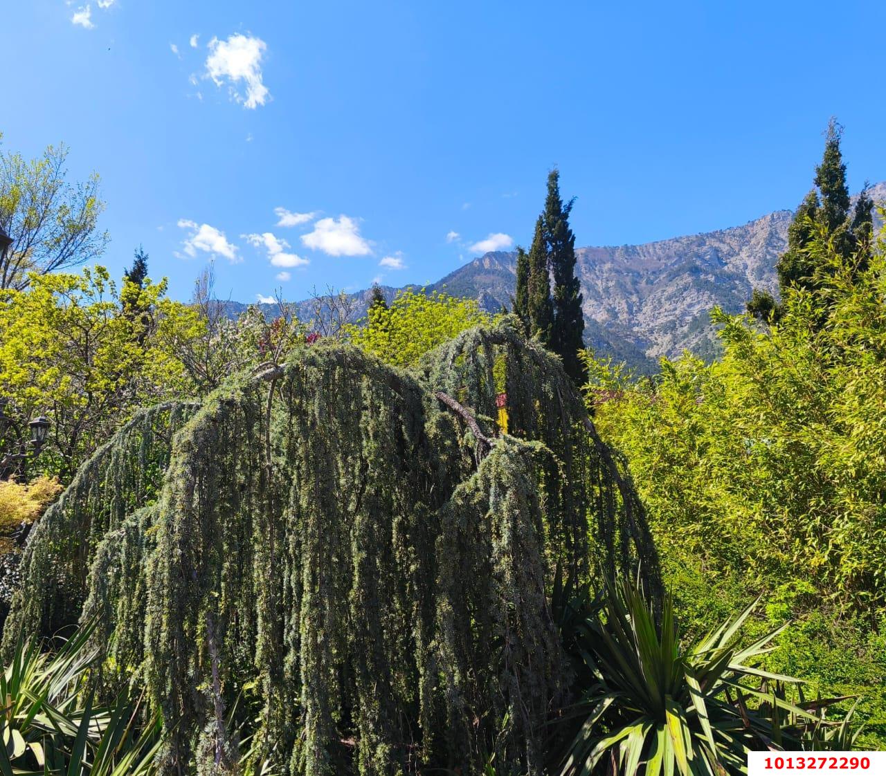 Фото №1: Земельный участок под ИЖС - Горячий Ключ, мкр. Городская Больница, ул. Целинная, 23