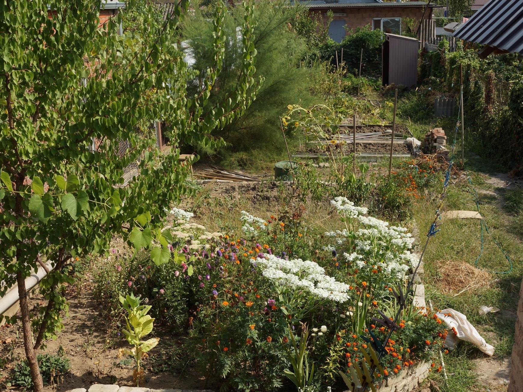 Фото №3: Часть дома 69 м² + 2.5 сот. - Краснодар, Центральный внутригородской округ, мкр. Дубинка, пер. 1-й Адыгейский, 14