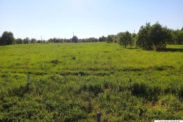 Фото №4: Земельный участок под ИЖС 12 сот. - Новый Сад, ул. Полевая