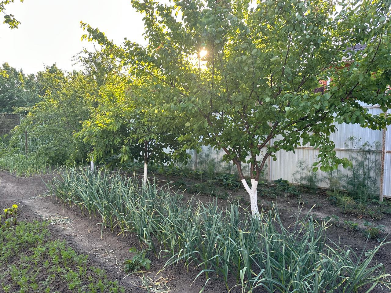 Фото №19: Дом 91 м² + 6.2 сот. - Елизаветинская, Прикубанский внутригородской округ, ст Башмачок, ул. Клубничная, 90