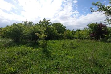 Фото №5: Земельный участок 8 сот. - Козет, ул. Шовгенова, 76