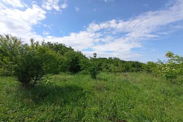 Фото №1: Земельный участок 8 сот. - Козет, ул. Шовгенова, 76