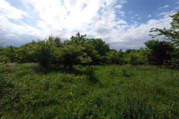 Фото №4: Земельный участок 8 сот. - Козет, ул. Шовгенова, 76