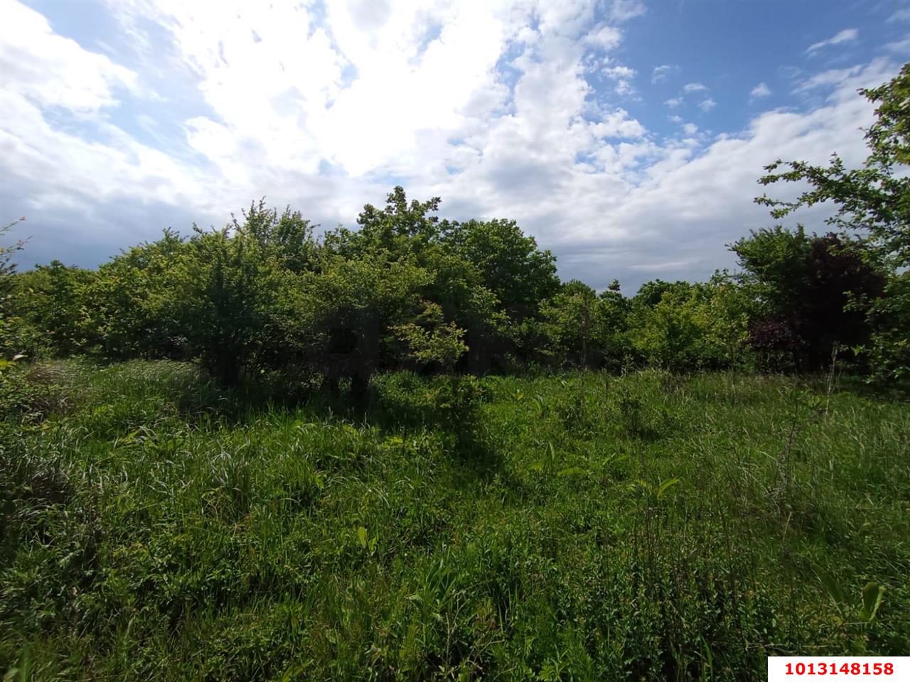 Фото №4: Земельный участок 8 сот. - Козет, ул. Шовгенова, 76