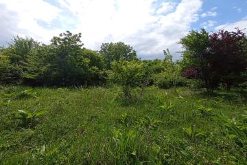 Фото №2: Земельный участок 8 сот. - Козет, ул. Шовгенова, 76