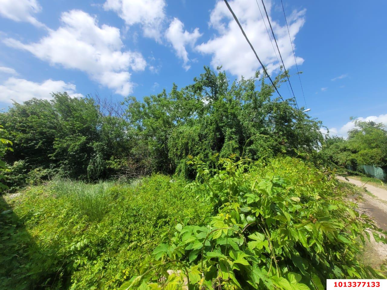 Фото №3: Земельный участок 4.25 сот. - Краснодар, Прикубанский внутригородской округ, снт Садовод, ул. Банановая