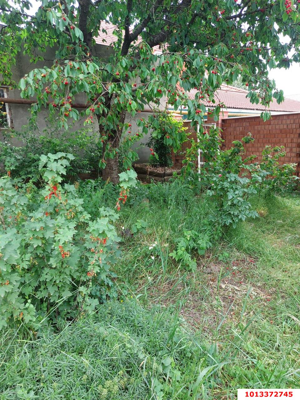 Фото №6: Земельный участок под ИЖС 6.69 сот. - Краснодар, Завод Радиоизмерительных Приборов, ул. им. Ягодина М. Д., 36