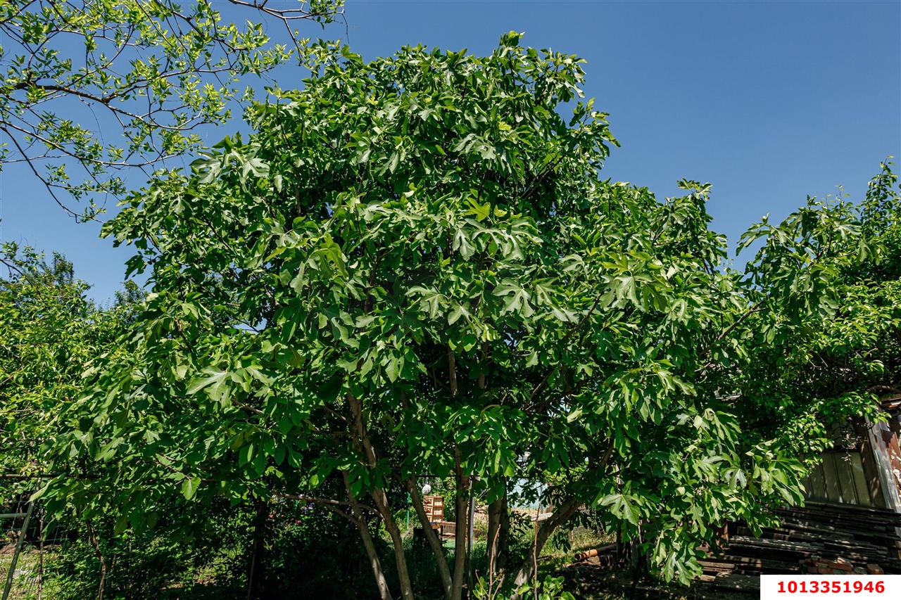 Фото №6: Земельный участок 9.6 сот. - Краснодар, мкр. Карасунский внутригородской округ, ул. Фадеева, 337