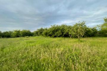 Фото №4: Земельный участок 28.95 сот. - Абадзехская, ул. Набережная, 75