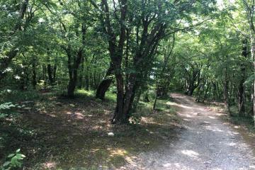 Фото №3: Коммерция 105 м² - Новомихайловский, ул. Морская, 40Д