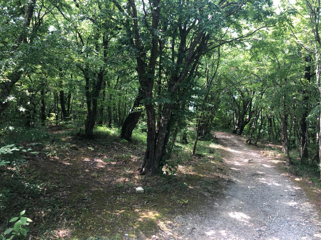 Фото №3: Коммерция 105 м² - Новомихайловский, ул. Морская, 40Д