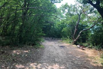 Фото №4: Коммерция 105 м² - Новомихайловский, ул. Морская, 40Д