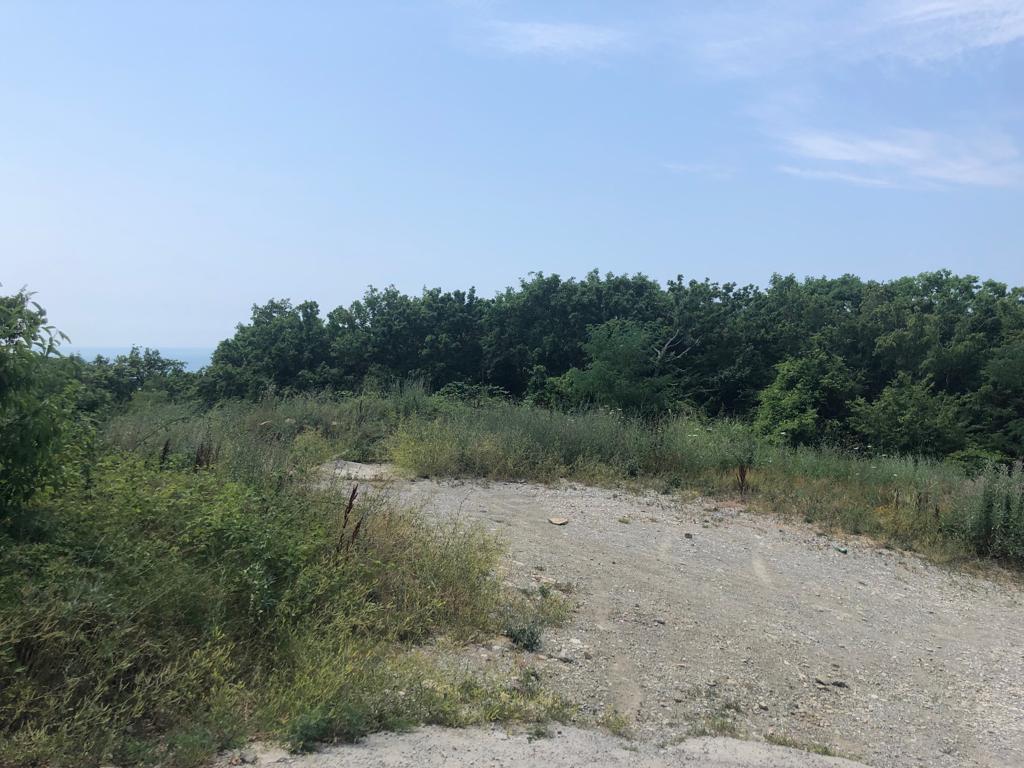 Фото №5: Коммерция 105 м² - Новомихайловский, ул. Морская, 40Д