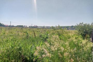 Фото №5: Земельный участок 7.8 сот. - Елизаветинская, мкр. Прикубанский внутригородской округ, ул. Кубанская, 10