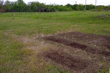 Фото №2: Участок садоводство 9 сот. - Энем, мкр. СДТ Приозёрное, 