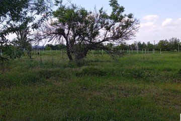 Фото №3: Участок садоводство 9 сот. - Энем, мкр. СДТ Приозёрное, 