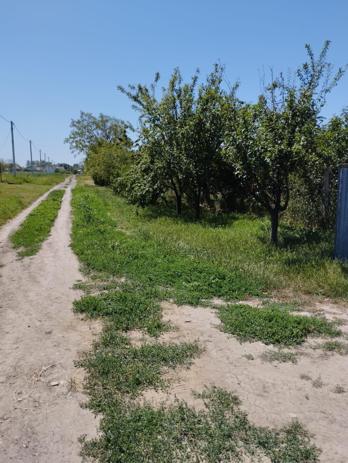 Фото №13: Коммерция 22 м² - Старонижестеблиевская, ул. Мира, 243