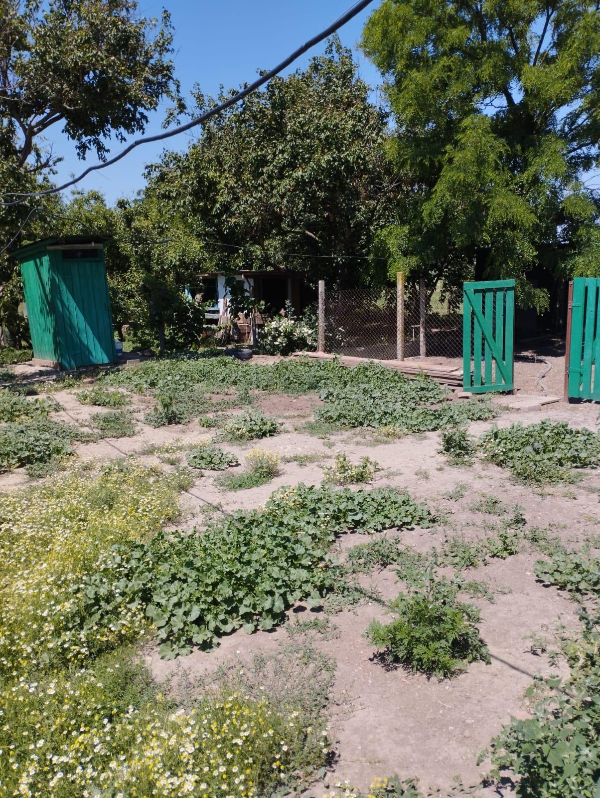 Фото №14: Коммерция 22 м² - Старонижестеблиевская, ул. Мира, 243