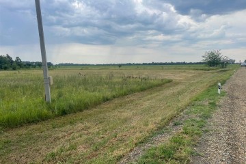 Фото №1: Коммерческая земля 40 сот. - Первореченское, ул. Дружбы, 8