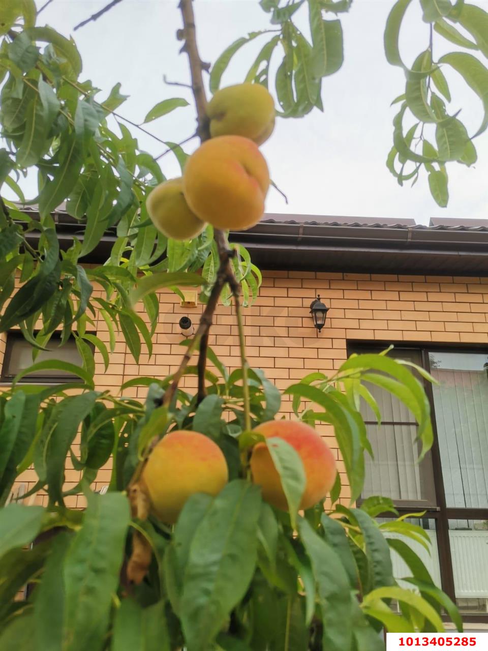 Фото №11: Дом 82 м² + 6 сот. - Берёзовый, Прикубанский внутригородской округ, снт Лекарственник, ул. Тенистая