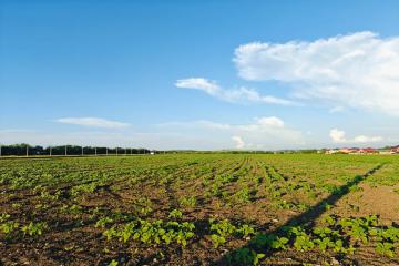 Фото №2: Коммерция 150 м² - Цибанобалка, ул. Заречная, 10Б