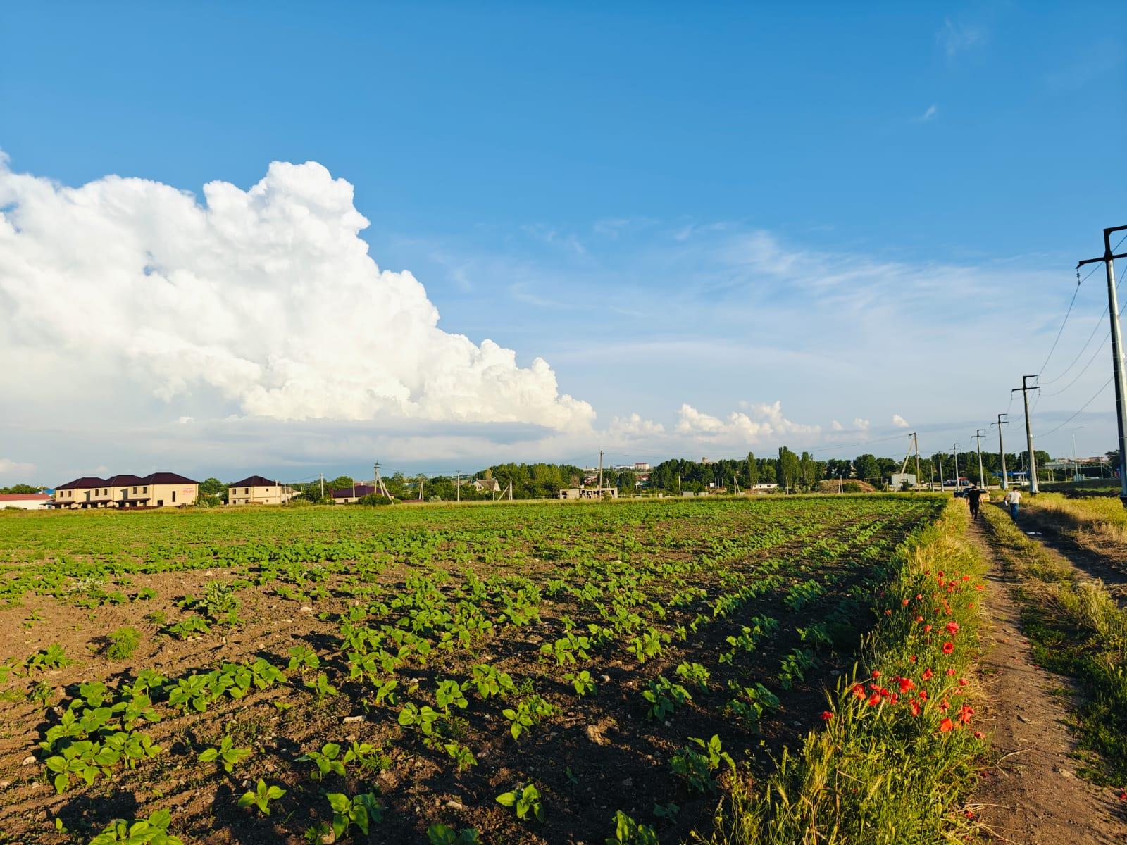 Фото №1: Коммерция 150 м² - Цибанобалка, ул. Заречная, 10Б