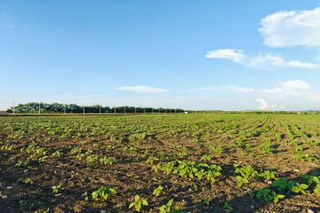 Фото №5: Коммерция 150 м² - Цибанобалка, ул. Заречная, 10Б